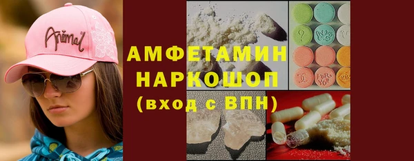 индика Каменск-Шахтинский