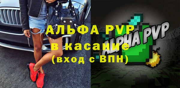 индика Каменск-Шахтинский