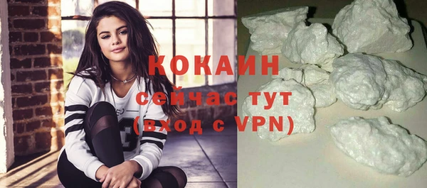 ешки Новодвинск