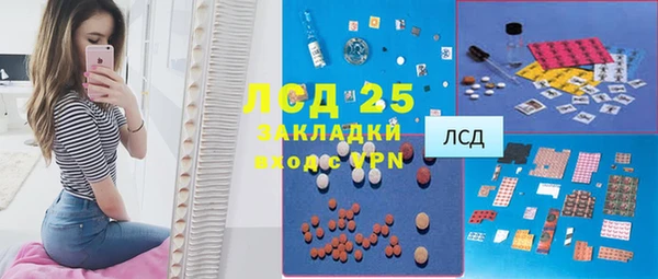индика Каменск-Шахтинский