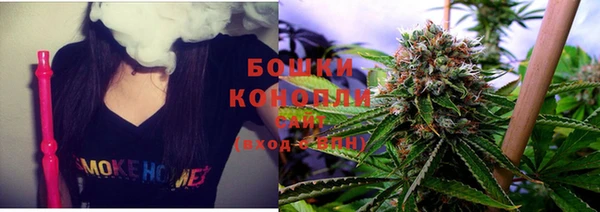 индика Каменск-Шахтинский