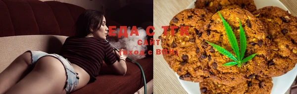 индика Каменск-Шахтинский
