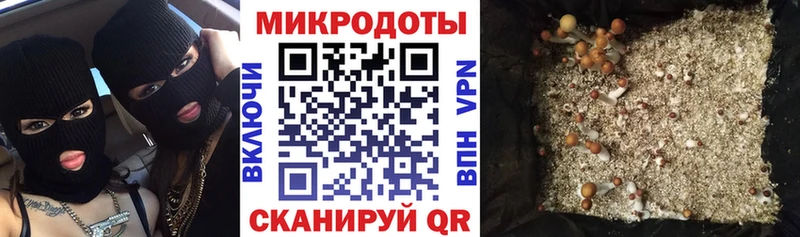 купить наркотики сайты  Ливны  Псилоцибиновые грибы Psilocybine cubensis 